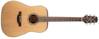 Guitarra Acústica Takamine GD20
