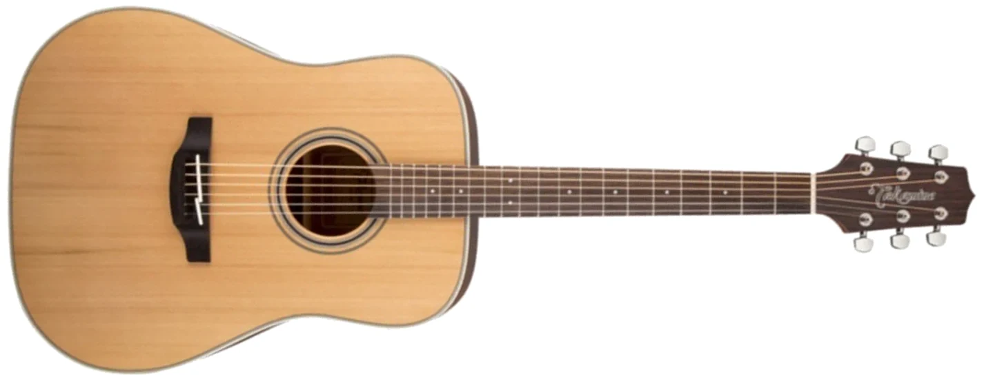 Guitarra Acústica Takamine GD20
