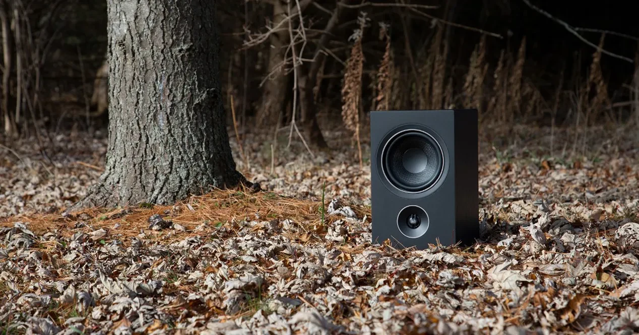 Altavoces de Estantería Alpha P5 (Negro) - Imagen 3