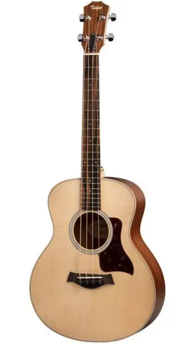 Bajo Taylor
