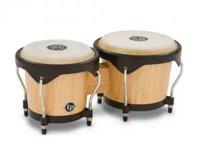 Bongos LP