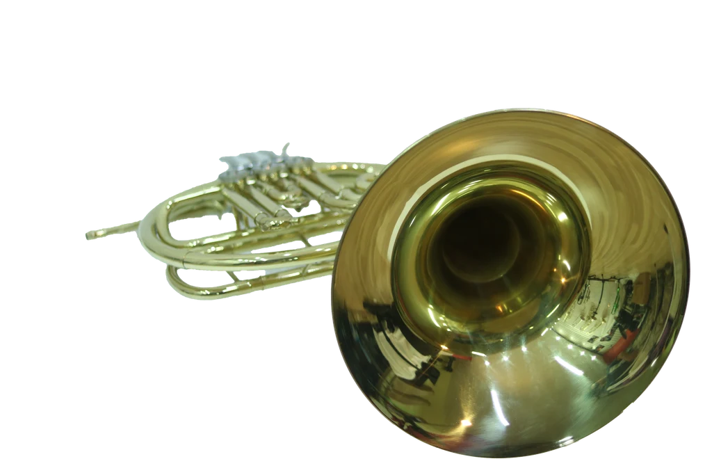 Corno Francés Fa Sencillo Cyrus Winds - Imagen 2