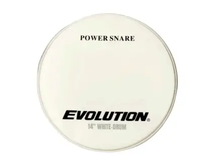 Parche Liso de 14" para Tarola Evolution
