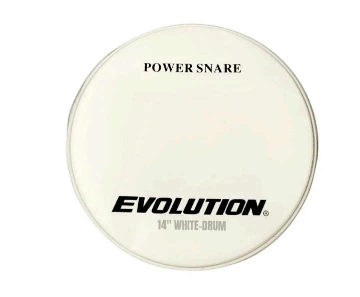 Parche Liso de 14" para Tarola Evolution