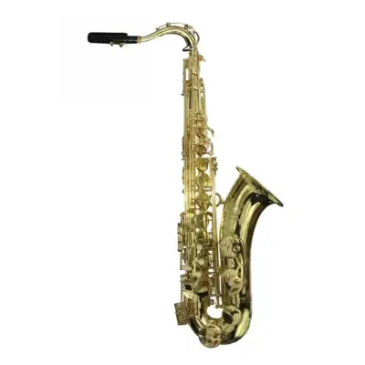 Saxofón Tenor Fanpro SXTENOR Laqueado