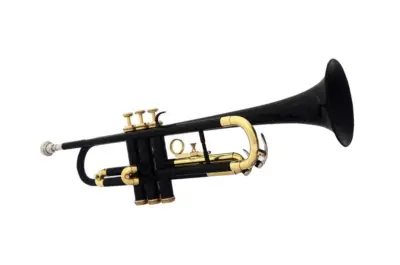 Trompeta Bb Laqueada Negra Fanpro TRBLK