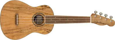 Ukelele Fender Zuma Concert Maple