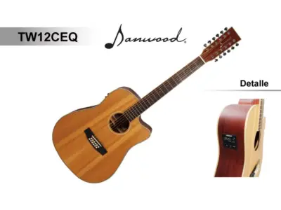 Guitarra de Doce Cuerdas con Ecualizador Fishman