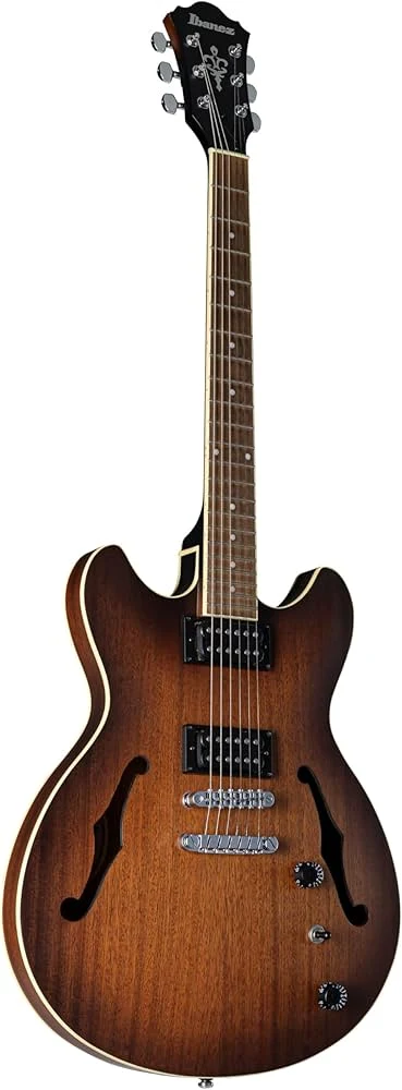 Guitarra eléctrica Ibanez AS53L-TF