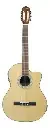 Guitarra Electroacústica CG3901