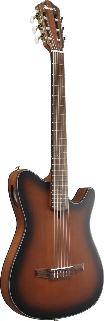Guitarra Electroacústica Ibanez FRH10N-BSF - Imagen 2