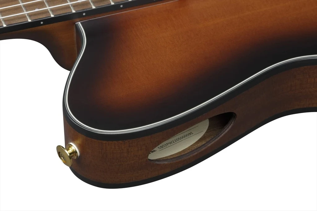 Guitarra Electroacústica Ibanez FRH10N-BSF - Imagen 4