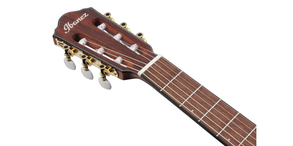 Guitarra Electroacústica Ibanez FRH10N-RGF - Imagen 4