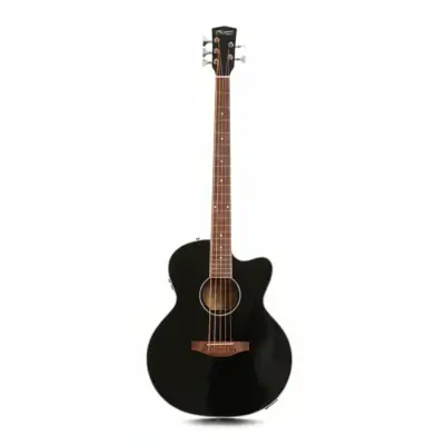 MUSICARTNEY Bajo Electroacústico 5 Cuerdas Color Negro Medida Super Jumbo