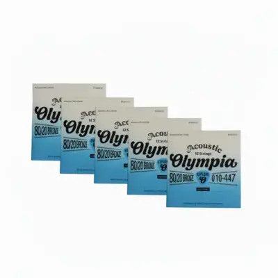 Cuerdas para guitarra de 12 cuerdas 80/20 Bronce 010-047