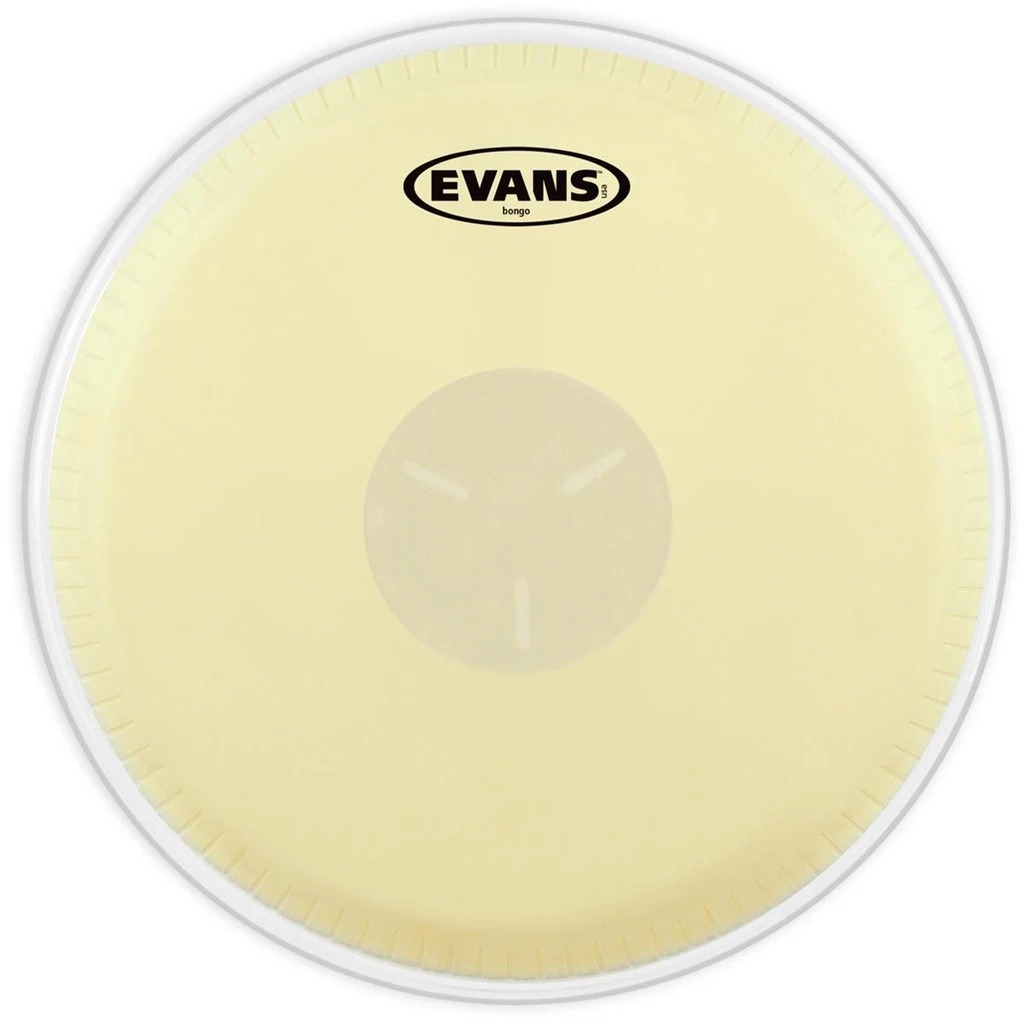 Parche Evans 8" para Bongo EB09