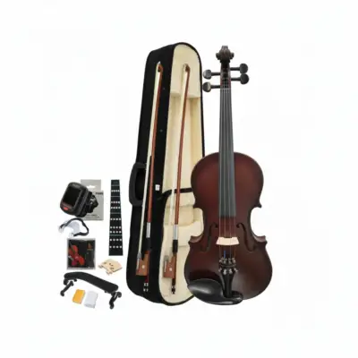Violín 4/4 Mate Retro con Tapa y Fondo de Madera Maciza
