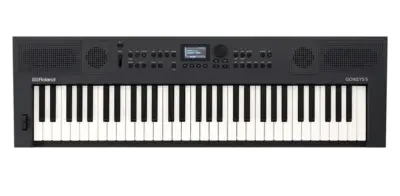 Teclado Portátil Roland GO:KEYS 61 Teclas Azul Grafito