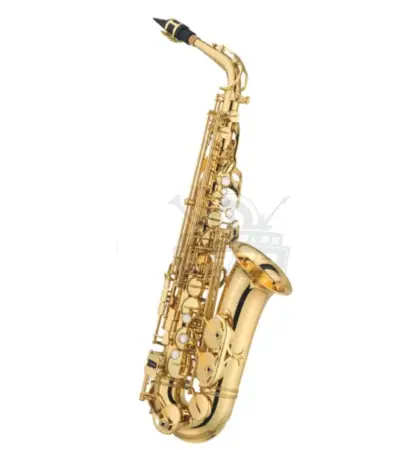 Saxofón Alto Laqueado Dorado con Estuche y Accesorios