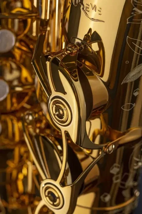 Saxofón Alto Laqueado Mi bemol Selmer Paris Supreme 92DL - Imagen 9