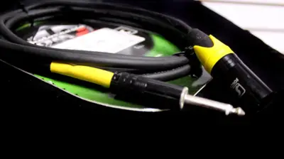 Cable Canon a Plug Medusa 6 Mts
