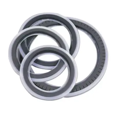 Sordina Remo de 13"
