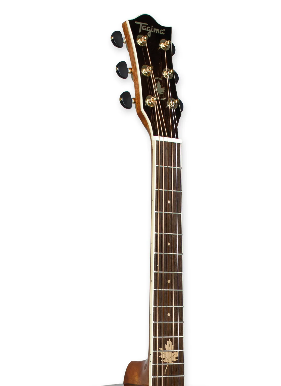 TAGIMA Guitarra Electroacústica Fernie EQ NT - Imagen 3