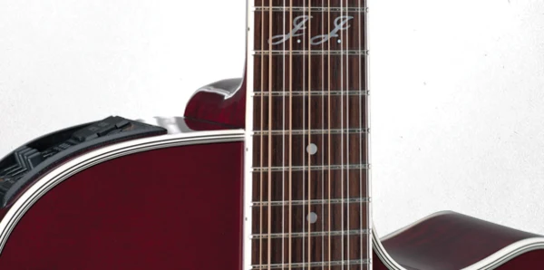 Takamine JJ325SRC-12 John Jorgenson - Guitarra Electroacústica de 12 Cuerdas - Imagen 2