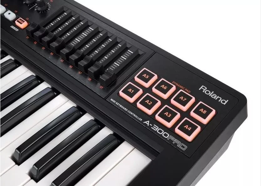 Teclado Controlador BOSS Cakewalk A300PRO - Imagen 3