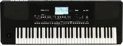 Teclado Profesional Workstation Korg PA300 de 61 Teclas