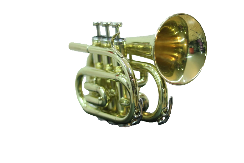Trompeta Pocket Laqueada Sib Cyrus Winds