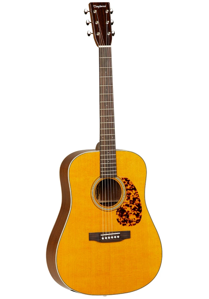 Guitarra Electroacústica Dreadnought Tanglewood TW40DANE