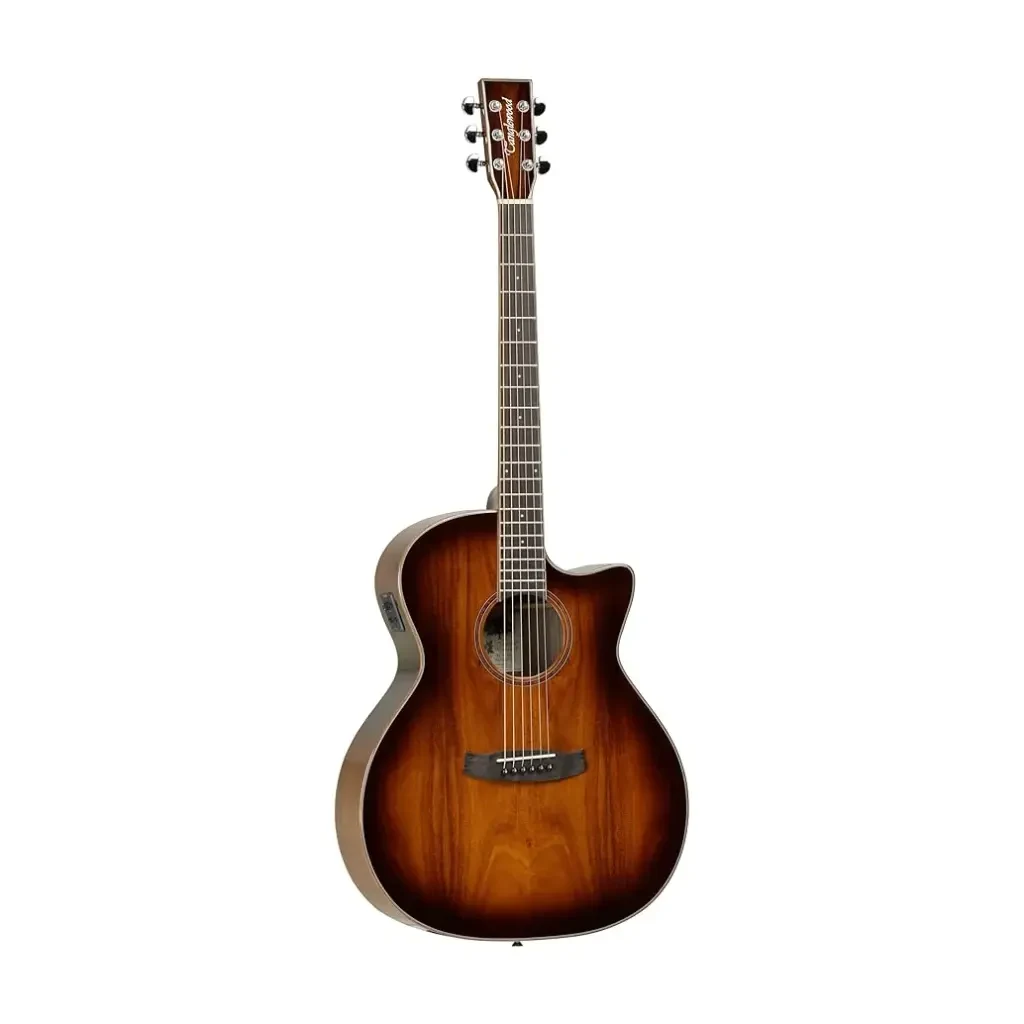 Guitarra acústica Tanglewood Winterleaf TW4VCKOA