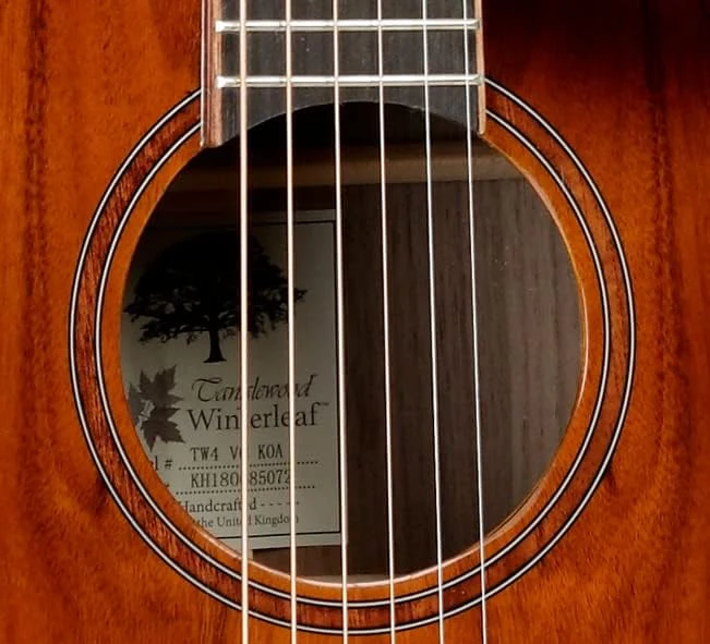 Guitarra acústica Tanglewood Winterleaf TW4VCKOA - Imagen 4
