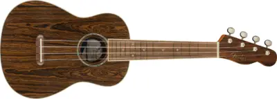 Ukelele Concert Zuma Bocote