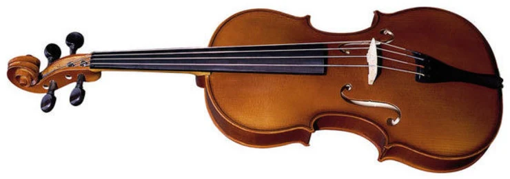 Viola Acústica Strunal Talent 3/60
